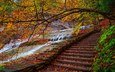 деревья, вода, лестница, ступеньки, парк, листва, осень, поток