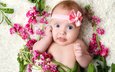 цветы, девочка, ребенок, повязка, младенец, грудной ребёнок