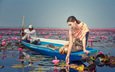 цветы, озеро, девушка, настроение, лодка, профиль, азиатка, лотосы