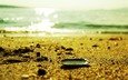 вода, песок, пляж, релакс, ракушка