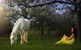 лошадь, трава, природа, дерево, девушка, профиль, конь, желтое платье