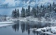 деревья, озеро, снег, природа, лес, зима