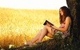 дерево, девушка, поле, пшеница, книга