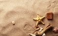 макро, песок, ракушки, морская звезда