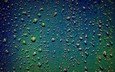 вода, текстура, зелёный, фон, капли, воды, капли дождя, marta diarra