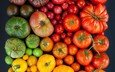 разноцветные, урожай, овощи, помидоры, томаты