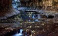 скалы, листья, ручей, сша, юта, тоннель, zion national park