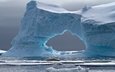 море, лёд, айсберг, животное, арка, антарктида, тюлень, crabeater seal, petermann island