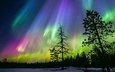 небо, ночь, деревья, снег, лес, зима, звезды, северное сияние, силуэты, финляндия