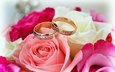 цветы, розы, букет, кольца, свадьба, торжество