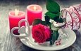 цветы, свечи, розы, лепестки, любовь, день святого валентина