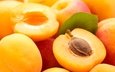 макро, лето, фрукты, абрикос, плоды, абрикосы