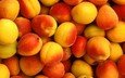 фрукты, абрикосы