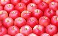 фрукты, яблоки, красные