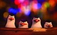 пингвины из мадагаскара, classified, corporal, skipper, kowalski