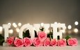 цветы, розы, лепестки, любовь, день святого валентина