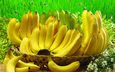 фрукты, бананы