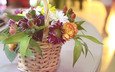 цветы, букет, хризантемы, корзинка, композиция, гвоздики