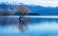 вода, озеро, горы, природа, дерево, отражение, пейзаж, новая зеландия, пейзаж горы