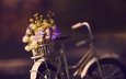цветы, фон, велосипед