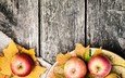 листья, фрукты, яблоки, осень, плоды