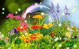 цветы, лето, бабочка, фотошоп, красиво, пузырь, шмель, 3д