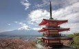 панорама, гора, пагода, япония, сакура, вулкан, фудзи, японии, фудзияма, chureito pagoda, фудзиёсида, гора фудзи