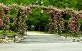 цветы, деревья, лестница, ступеньки, парк, дорожка, кусты, розы, сша, навес, газон, longwood gardens