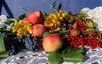 цветы, листья, виноград, фрукты, яблоки, ягоды, натюрморт, калина