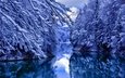 деревья, вода, река, снег, отражения, зима, ветки