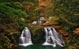 деревья, лес, осень, япония, водопады, каскад, набари