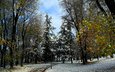 деревья, природа, зима, фото, парк