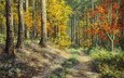 арт, лес, пейзаж, осень, живопись, malgorzata rawicka