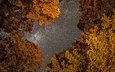 небо, деревья, фото, осень, фотограф, greg stevenson, ночное, звездное