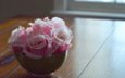 цветок, роза, лепестки, бутон, розовая