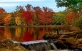 деревья, озеро, парк, осень, штат нью-йорк, belmont lake, belmont lake state park, озеро белмонт, вавилон, нью - йорк