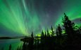 небо, деревья, озеро, северное сияние, силуэты, aurora borealis, северные огни