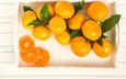 листья, фрукты, оранжевые, мандарины, цитрусы