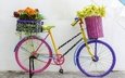 цветы, ретро, букет, велосипед,  цветы, флористика
