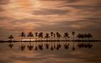 закат, отражение, пальмы, атлантический океан, майами, штат флорида