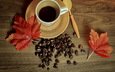 осень, кофе, чашка, книга, кубок, осен,  листья, бобы