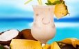 пляж, лето, фрукты, коктейль, плоды, тропический, кокос, ананас, тропическая, летнее, молочный коктейль