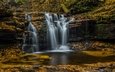 листья, водопад, осень, пенсильвания, штат пенсильвания, каскад, ricketts glen state park