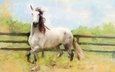 лошадь, картина, поле, графика, ограждение, конь, живопись, белая, светлая, пастельные тона