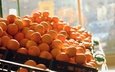 фрукты, апельсины, много, оранжевые