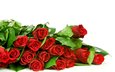 цветы, розы, красные, букет