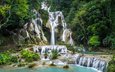 деревья, скалы, природа, лес, водопад, лаос, kuang si waterfall