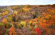 дорога, деревья, река, рельсы, лес, осень, канада, онтарио