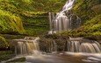 водопад, англия, каскад, йоркшир-дейлс, scaleber force falls, yorkshire dales national park, сетл, settle, scaleber force