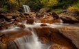 река, камни, водопад, осень, douglas falls, blackwater river, водопад дуглас, река блэкуотер, западная виргиния
